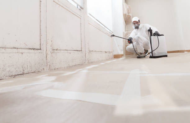 24/7 Emergency Attic Mold Remediation experts in Bear Lake, MI